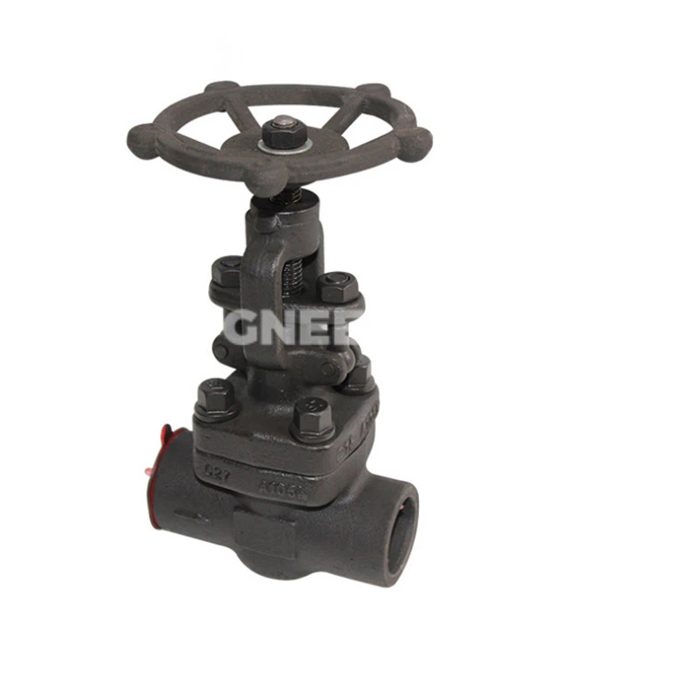 API 602 Forged Steel Globe Valve