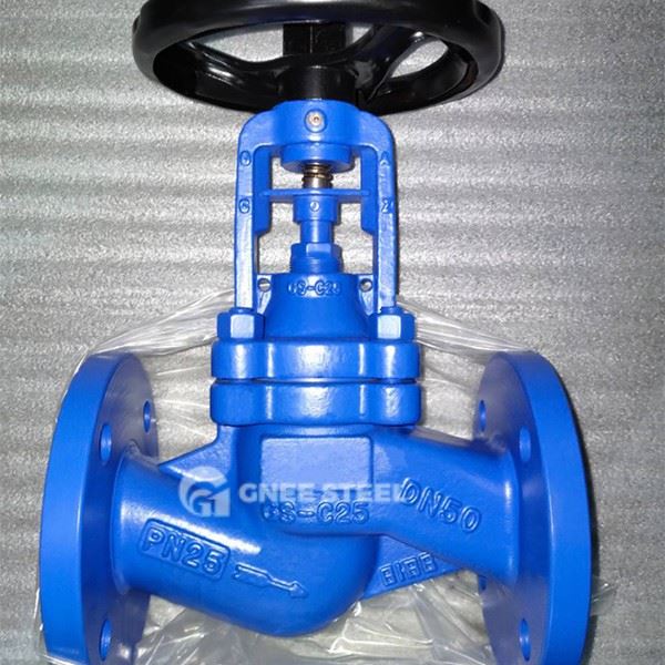 DIN 3356 Globe Valve