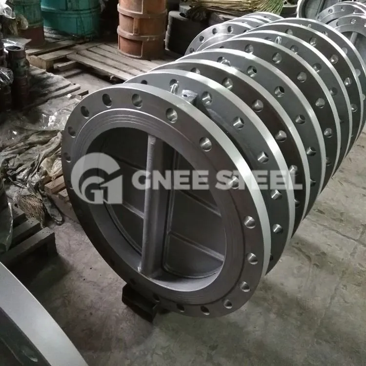 Double Flanged Dual Plate Check Valve