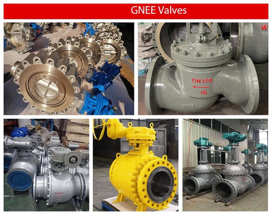 Wafer Type Silence Check Valve Factory Wafer Type Silence Check Valve Factory