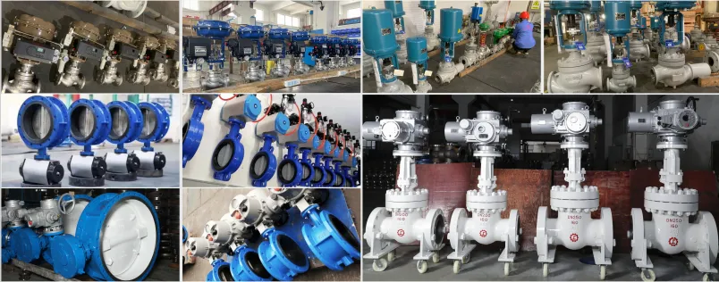Sanitary butterfly valve display Sanitary butterfly valve display