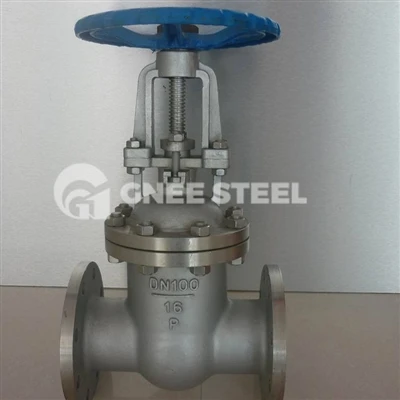 API 595-1979 Cast Iron Gate Valve Supplier