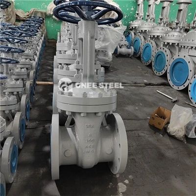 What is the function of the gate valve