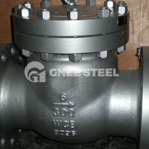 API 602 Check Valve API 602 Check Valve
