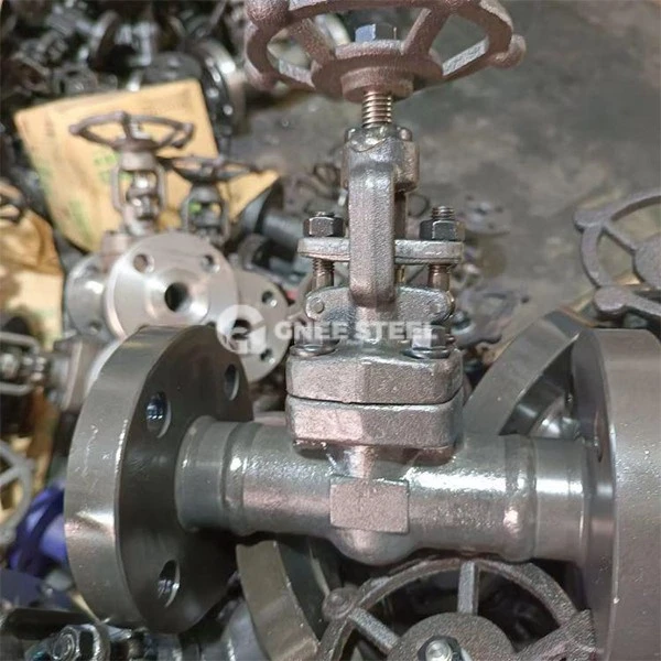 Forged Steel Gate Valve Forged Steel Gate Valve