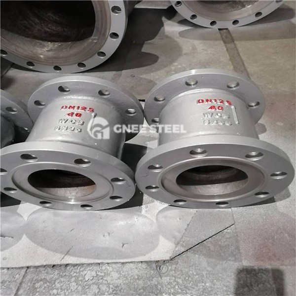 vertical lift check valve vertical lift check valve
