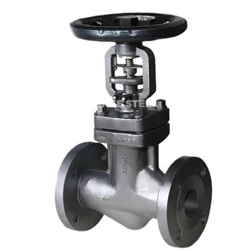 API 602 Globe Valve