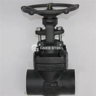 Forged Steel Gate Valve