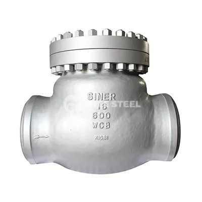 Power Plant Check Valve