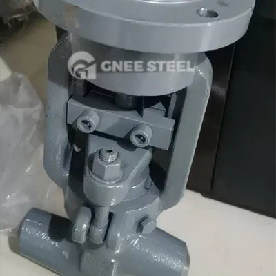 Power Plant Globe Valve