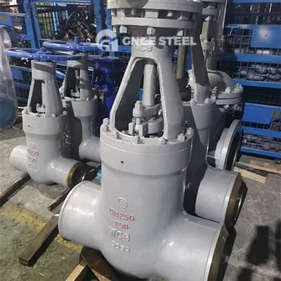 Power Station Gate Valves