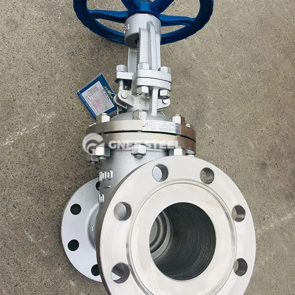 SS 304 Gate Valve