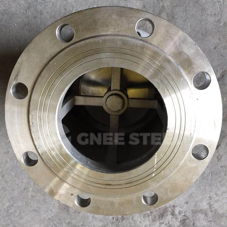 Stainless Steel Flanged Check Valve